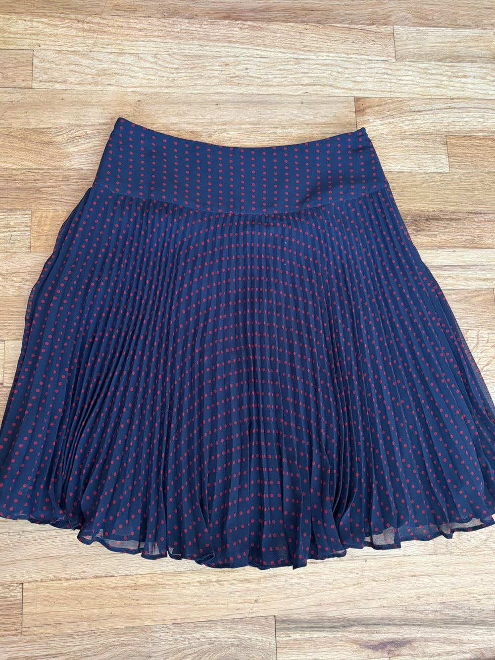 The Limited Navy Skater Skirt with Red Polka Dots